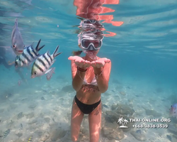 Underwater Odyssey snorkeling tour from Pattaya Thailand photo 14575