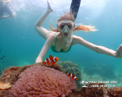 Underwater Odyssey snorkeling tour from Pattaya Thailand photo 18329