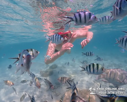 Underwater Odyssey snorkeling excursion in Pattaya Thailand photo 440