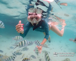 Underwater Odyssey snorkeling excursion in Pattaya Thailand photo 183