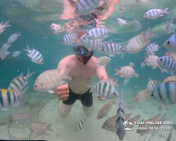 Underwater Odyssey snorkeling excursion in Pattaya Thailand photo 187