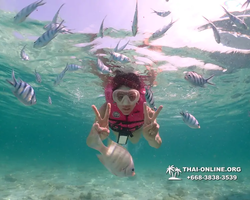 Underwater Odyssey snorkeling tour from Pattaya Thailand photo 18368