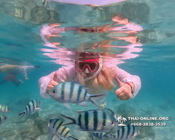 Underwater Odyssey snorkeling tour from Pattaya Thailand photo 14513