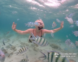 Underwater Odyssey snorkeling excursion in Pattaya Thailand photo 211