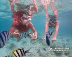 Underwater Odyssey snorkeling excursion Pattaya Thailand photo 14217