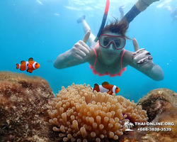 Underwater Odyssey snorkeling excursion in Pattaya Thailand photo 605