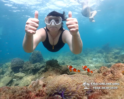 Underwater Odyssey snorkeling excursion Pattaya Thailand photo 11452