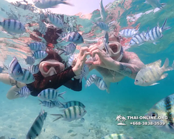 Underwater Odyssey snorkeling excursion Pattaya Thailand photo 11198
