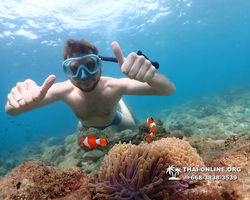 Underwater Odyssey snorkeling excursion Pattaya Thailand photo 11339