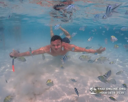 Underwater Odyssey snorkeling excursion in Pattaya Thailand photo 1042