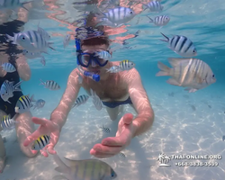 Underwater Odyssey snorkeling excursion in Pattaya Thailand photo 915