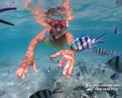 Underwater Odyssey snorkeling excursion in Pattaya Thailand photo 437