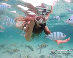 Underwater Odyssey snorkeling excursion in Pattaya Thailand photo 120