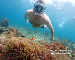 Underwater Odyssey snorkeling excursion Pattaya Thailand photo 11449