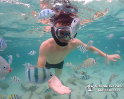 Underwater Odyssey snorkeling excursion in Pattaya Thailand photo 90