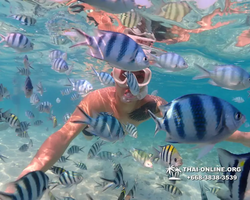 Underwater Odyssey snorkeling excursion Pattaya Thailand photo 11267