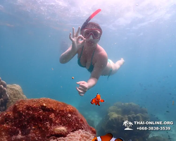 Underwater Odyssey snorkeling excursion in Pattaya Thailand photo 571