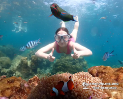 Underwater Odyssey snorkeling tour from Pattaya Thailand photo 14272