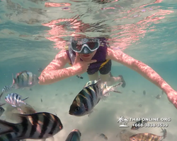 Underwater Odyssey snorkeling excursion Pattaya Thailand photo 19389