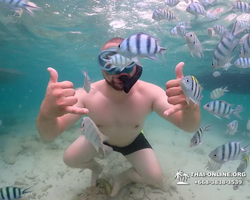 Underwater Odyssey snorkeling excursion in Pattaya Thailand photo 143