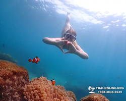 Underwater Odyssey snorkeling excursion in Pattaya Thailand photo 1040