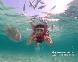 Underwater Odyssey snorkeling tour from Pattaya Thailand photo 18395