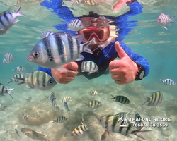 Underwater Odyssey snorkeling excursion Pattaya Thailand photo 14832