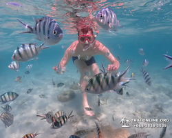 Underwater Odyssey snorkeling excursion in Pattaya Thailand photo 513