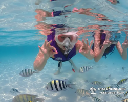 Underwater Odyssey snorkeling excursion in Pattaya Thailand photo 855