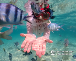 Underwater Odyssey snorkeling tour from Pattaya Thailand photo 14252
