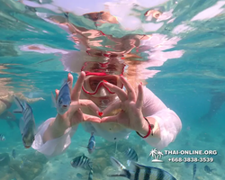 Underwater Odyssey snorkeling tour from Pattaya Thailand photo 14399