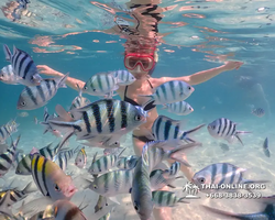 Underwater Odyssey snorkeling excursion Pattaya Thailand photo 11538