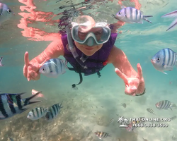 Underwater Odyssey snorkeling excursion Pattaya Thailand photo 19354