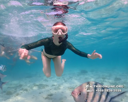 Underwater Odyssey snorkeling excursion Pattaya Thailand photo 11103