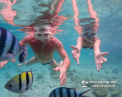 Underwater Odyssey snorkeling tour from Pattaya Thailand photo 14184