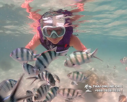 Underwater Odyssey snorkeling excursion Pattaya Thailand photo 19463