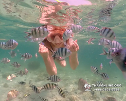 Underwater Odyssey snorkeling tour from Pattaya Thailand photo 18275