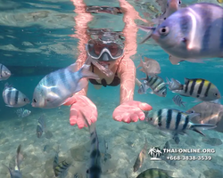 Underwater Odyssey snorkeling tour from Pattaya Thailand photo 14163