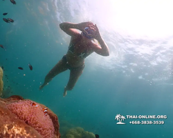 Underwater Odyssey snorkeling tour from Pattaya Thailand photo 18871