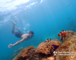 Underwater Odyssey snorkeling excursion in Pattaya Thailand photo 908