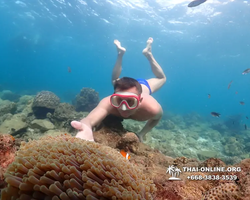 Underwater Odyssey snorkeling excursion Pattaya Thailand photo 11420
