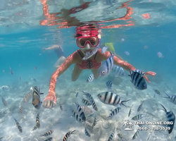 Underwater Odyssey snorkeling excursion in Pattaya Thailand photo 495