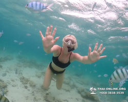 Underwater Odyssey snorkeling excursion in Pattaya Thailand photo 160