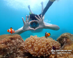 Underwater Odyssey snorkeling excursion in Pattaya Thailand photo 612