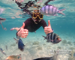 Underwater Odyssey snorkeling tour from Pattaya Thailand photo 14137