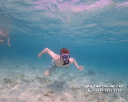 Underwater Odyssey snorkeling excursion Pattaya Thailand photo 11117