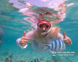 Underwater Odyssey snorkeling tour from Pattaya Thailand photo 14530