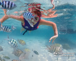 Underwater Odyssey snorkeling excursion in Pattaya Thailand photo 646