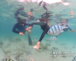 Underwater Odyssey snorkeling excursion in Pattaya Thailand photo 258