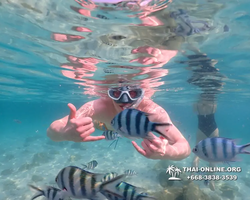 Underwater Odyssey snorkeling tour from Pattaya Thailand photo 14457